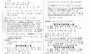 小学六年级数学总复习